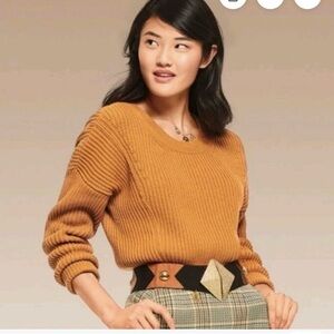 CAbi #3537 Stepup Pullover Crew Neck Sweater